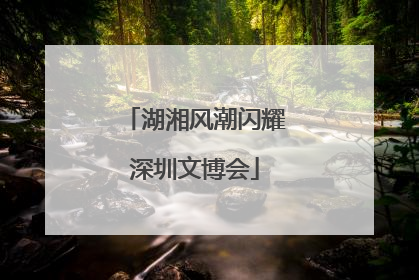 湖湘风潮闪耀深圳文博会